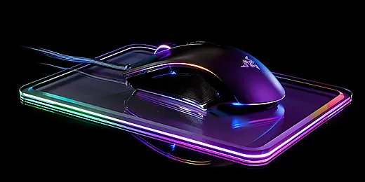 mouse